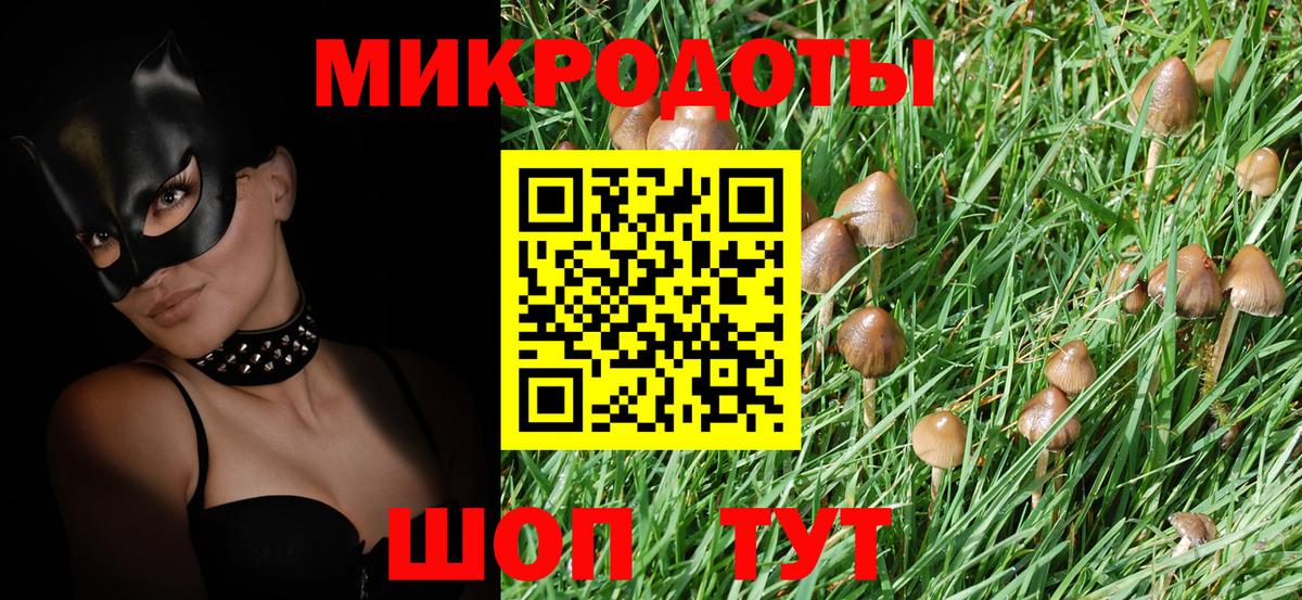 Галлюциногенные грибы Psilocybe Черкесск