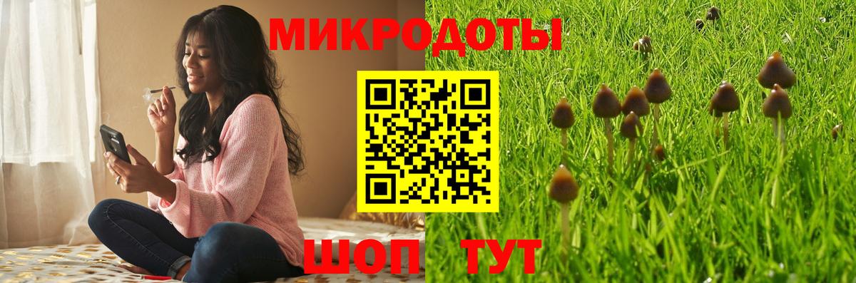 Галлюциногенные грибы MAGIC MUSHROOMS  Вход с VPN  сколько стоит  Черкесск 